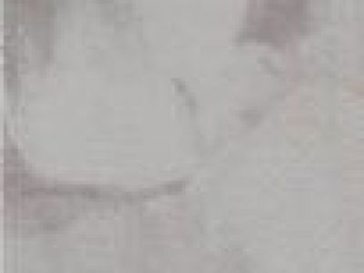 Marmo Classico Jordin Grenze